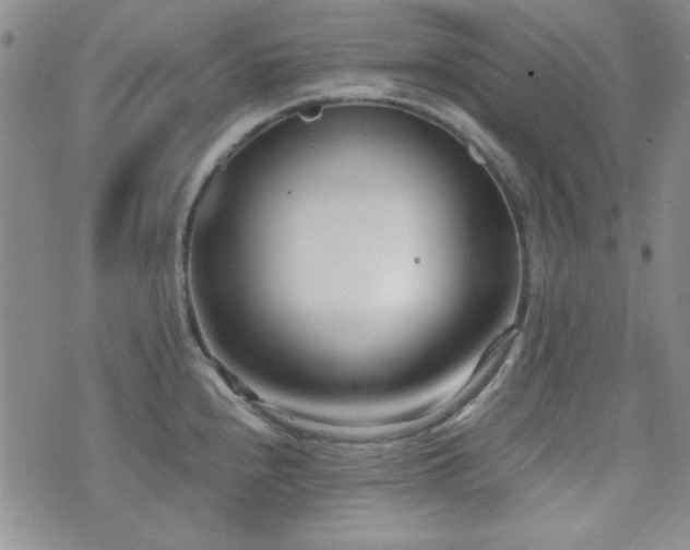 X0000073701240200608031206