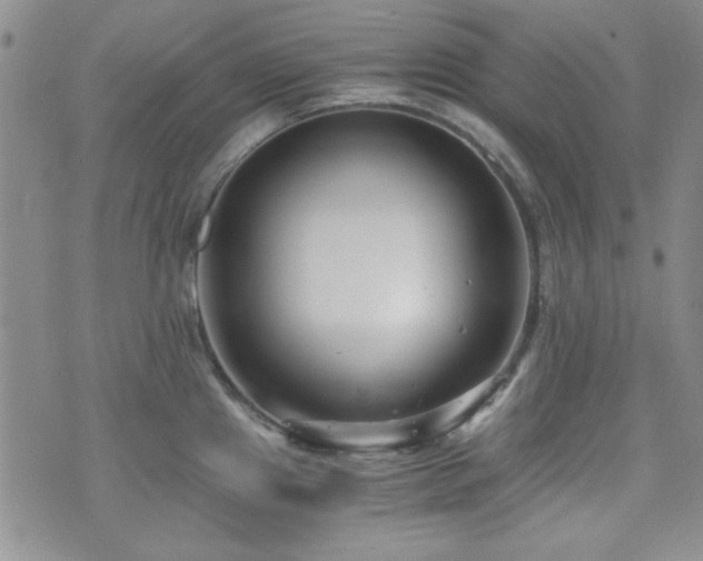 X0000073701241200608031206