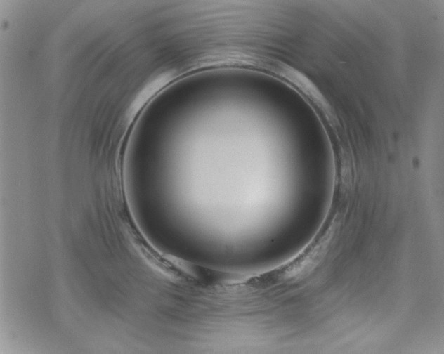 X0000073701242200608031206