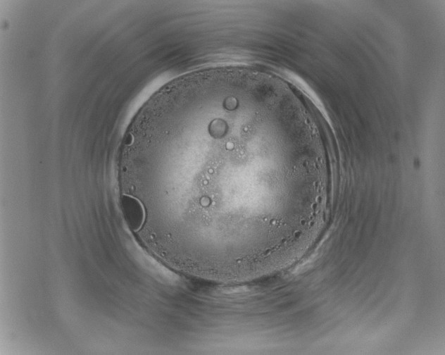 X0000073701243200608031206