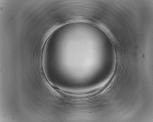 X0000073701244200608031206