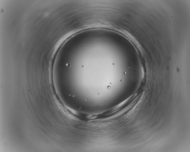 X0000073701246200608031206