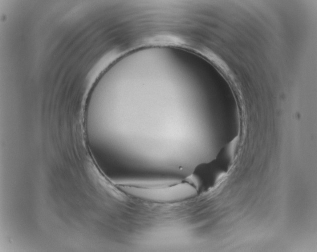 X0000073701248200608031206