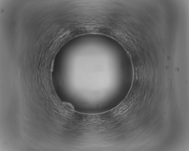 X0000073701249200608031206