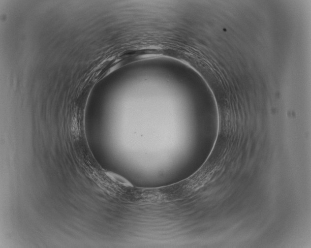 X0000073701250200608031206