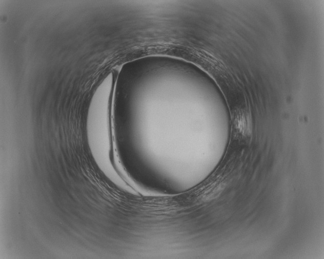 X0000073701252200608031206