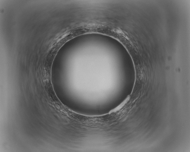 X0000073701253200608031206