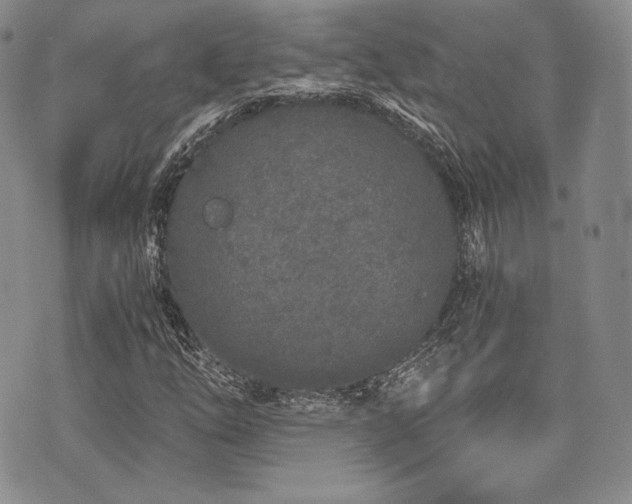 X0000073701254200608031206