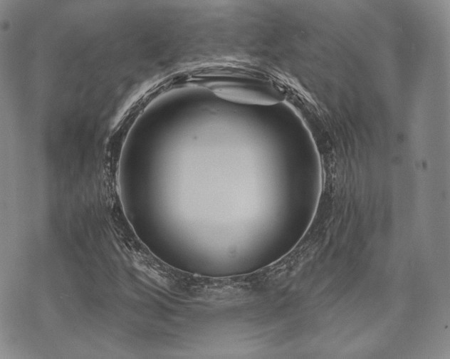 X0000073701256200608031206