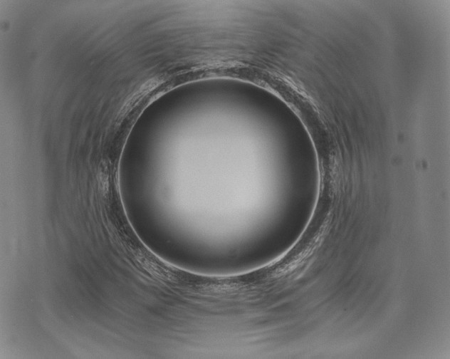 X0000073701257200608031206