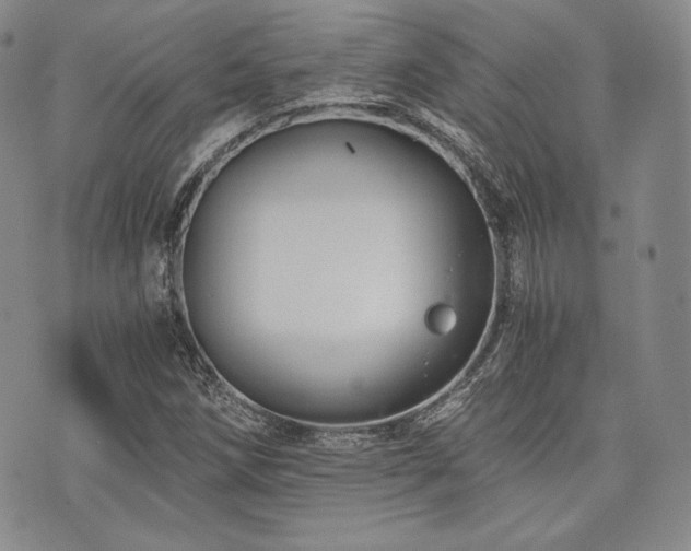 X0000073701258200608031206