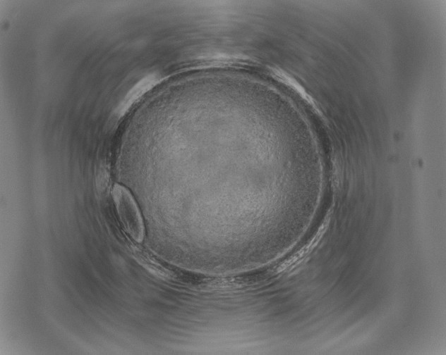 X0000073701259200608031206