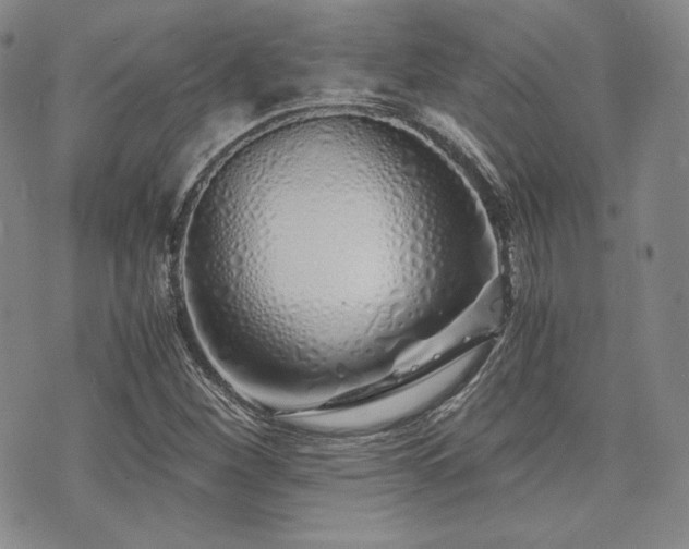 X0000073701260200608031206