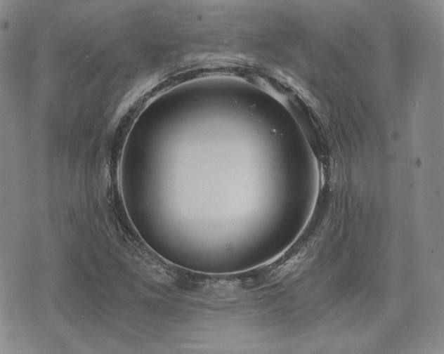 X0000073701261200608031205