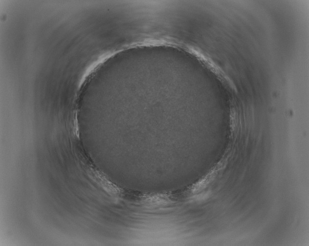 X0000073701262200608031205