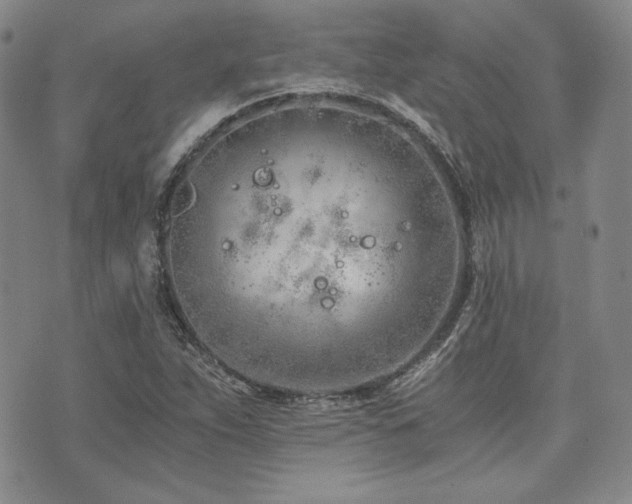 X0000073701263200608031205