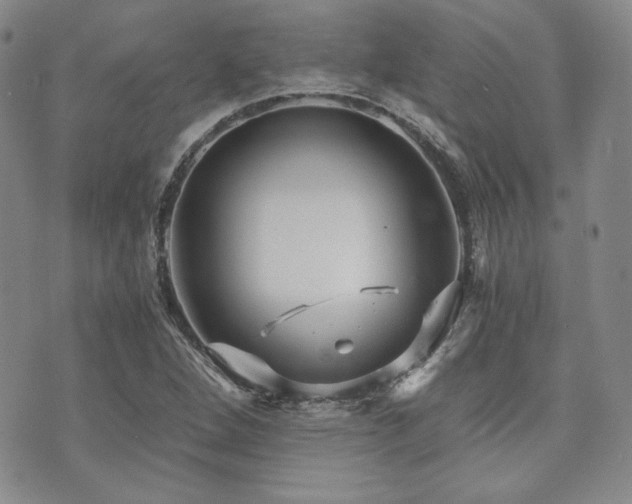 X0000073701264200608031205