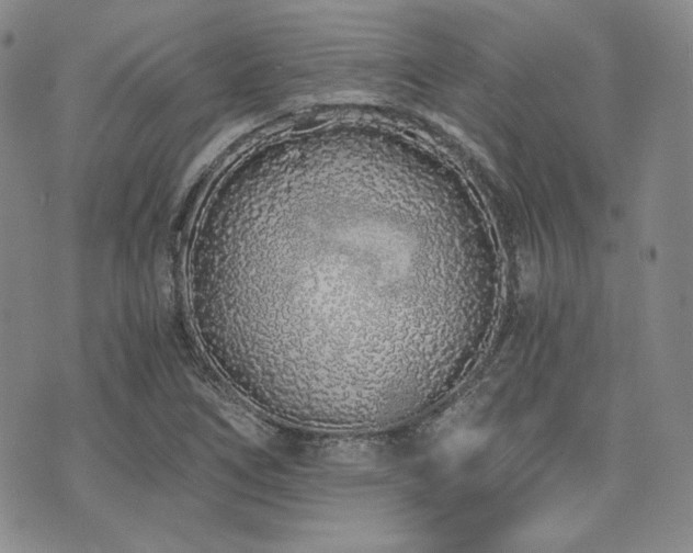 X0000073701266200608031205