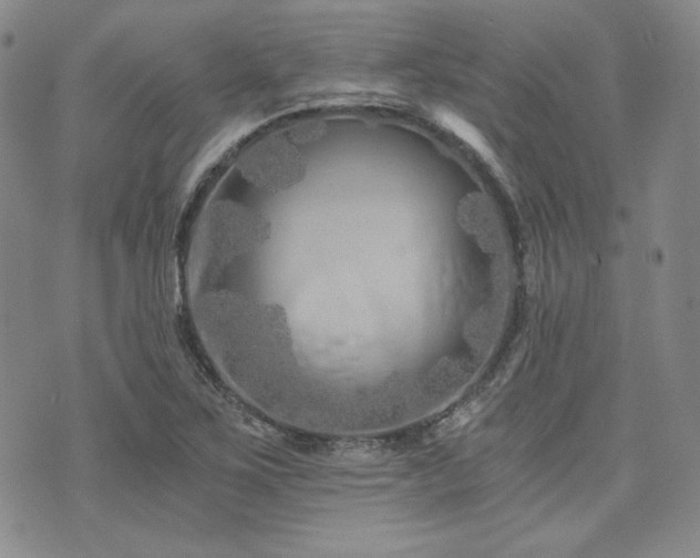 X0000073701267200608031205