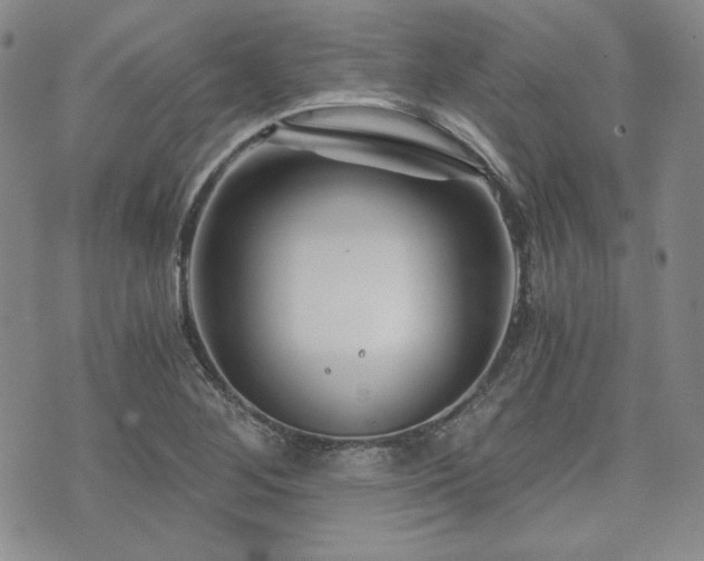 X0000073701268200608031205