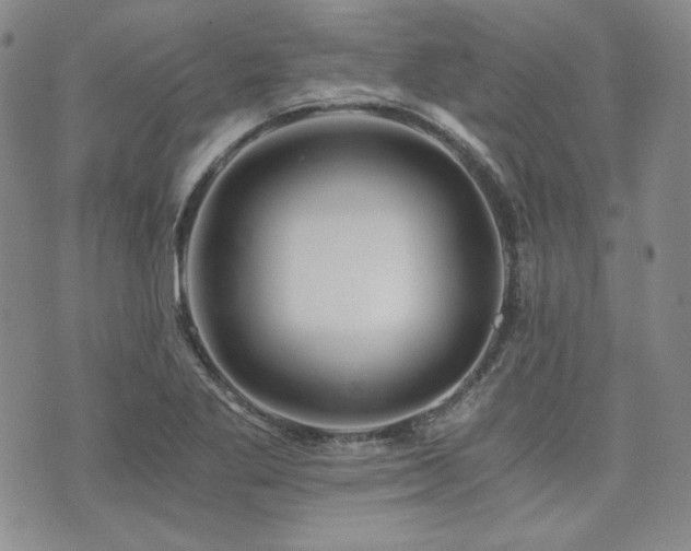 X0000073701269200608031205