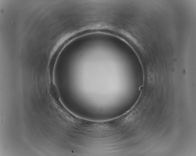 X0000073701270200608031205