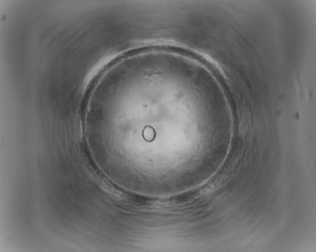 X0000073701271200608031205