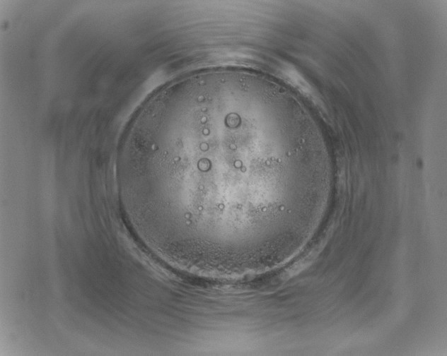 X0000073701275200608031205