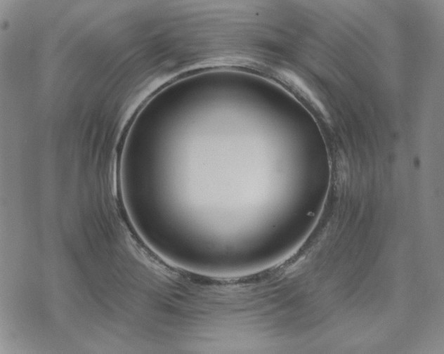 X0000073701276200608031205