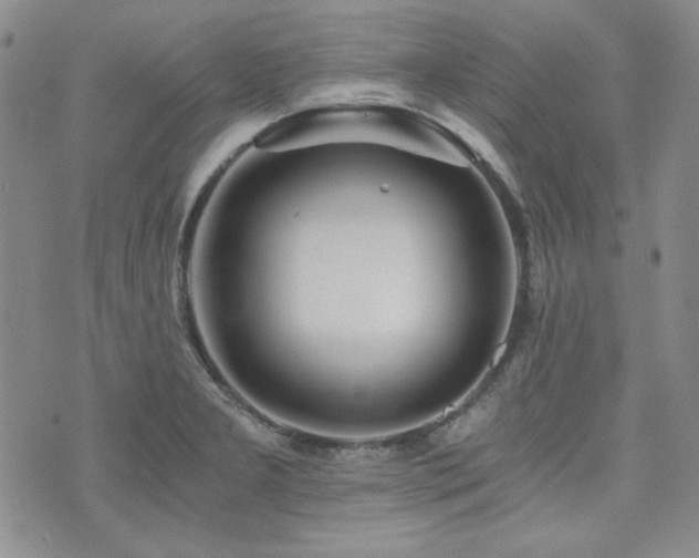 X0000073701277200608031205