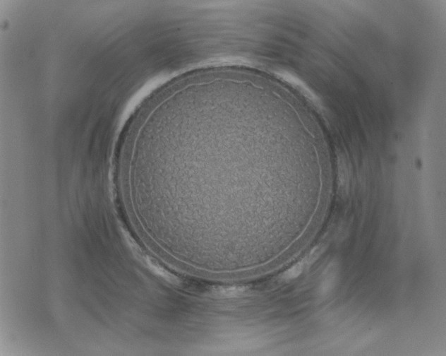 X0000073701278200608031205