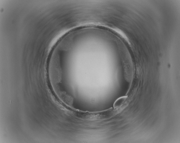 X0000073701279200608031205