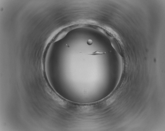 X0000073701280200608031205