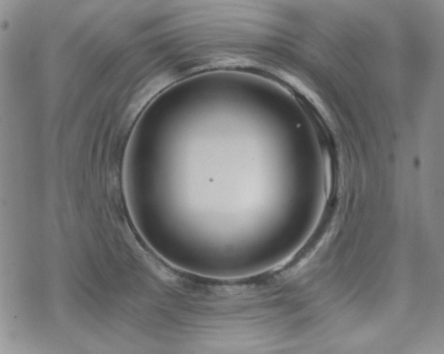 X0000073701281200608031205