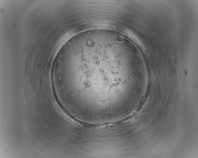 X0000073701283200608031205