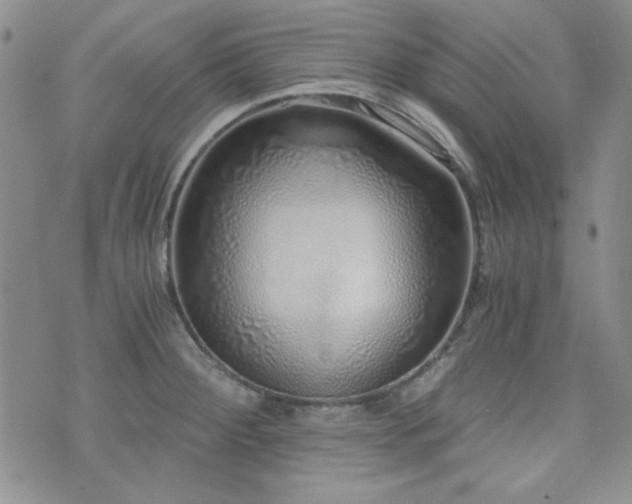 X0000073701284200608031205