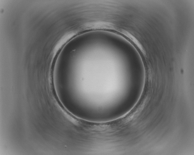 X0000073701285200608031205