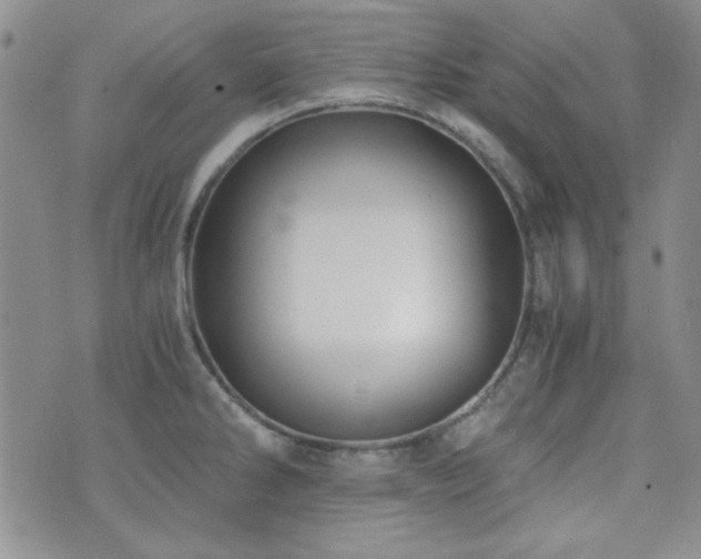 X0000073701286200608031205