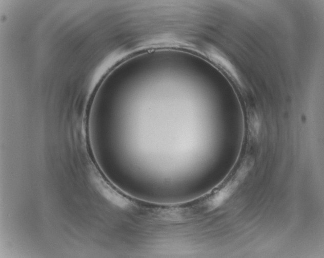 X0000073701288200608031205