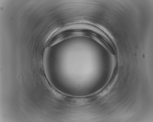 X0000073701289200608031205