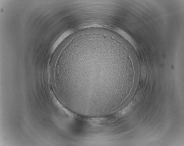 X0000073701290200608031205