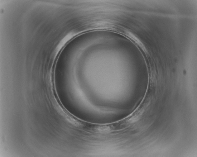 X0000073701291200608031205