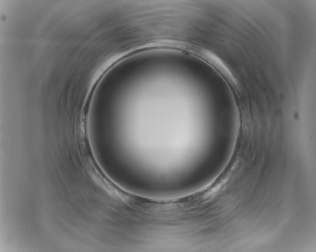 X0000073701292200608031205