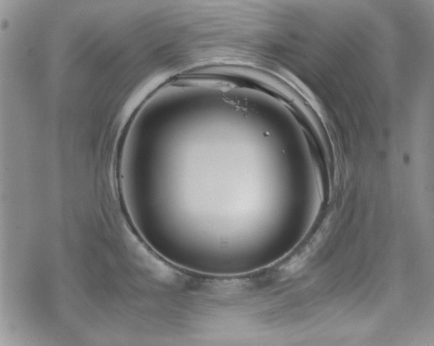 X0000073701293200608031205