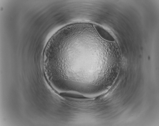 X0000073701295200608031205