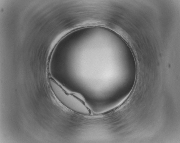 X0000073701296200608031205