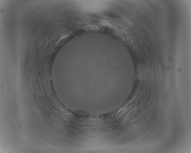 X0000073701297200608031204