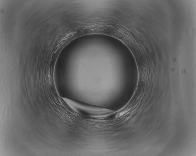 X0000073701298200608031204