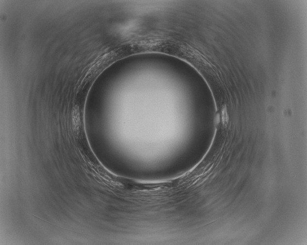 X0000073701299200608031204