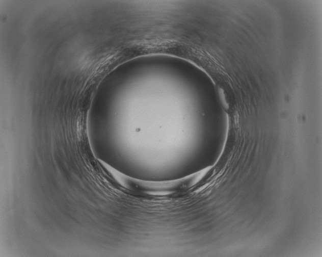 X0000073701300200608031204